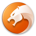 猎豹安全浏览器 专业版官方免费下载
